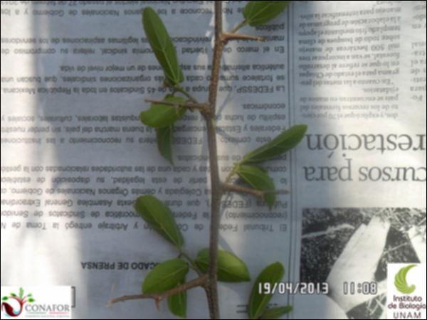 74016_S1_HJ2_20130419_005_001.jpg.jpg