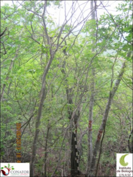 76294_S3_ARC_20130620_001_001.jpg.jpg