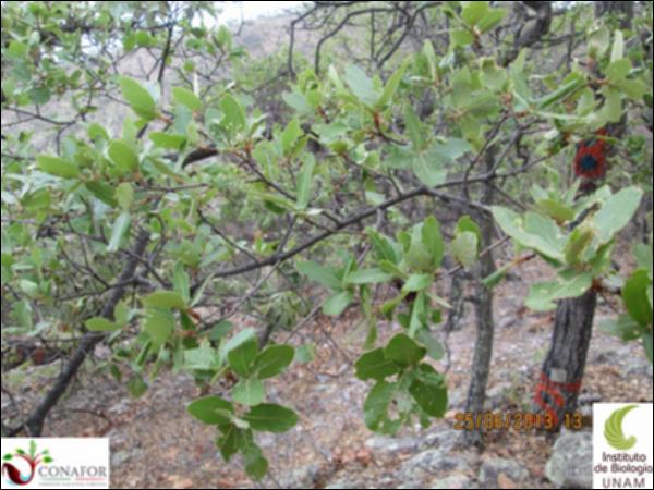 46838_S2_HJ1_20130625_005.jpg.jpg