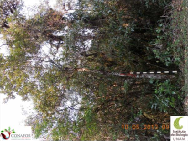 69842_S1_ARC_20130509_011_001.jpg.jpg