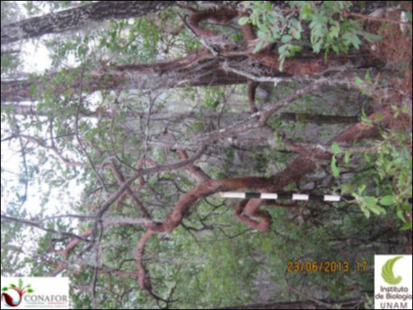 36821_S1_ARC_20130623_017.jpg.jpg