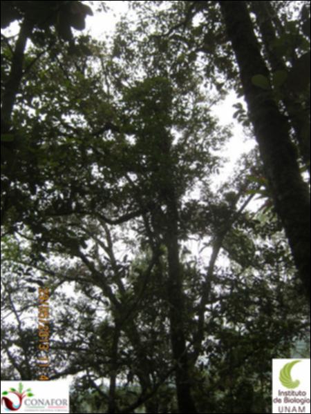 64985_S3_ARC_20130528_041_002.jpg.jpg