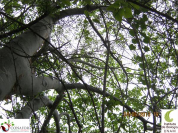 65752_S1_ARC_20130624_019.jpg.jpg