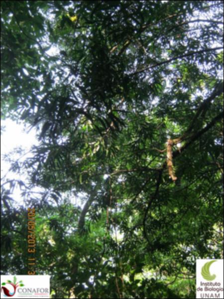 74388_S1_ARC_20130519_001_002.jpg.jpg