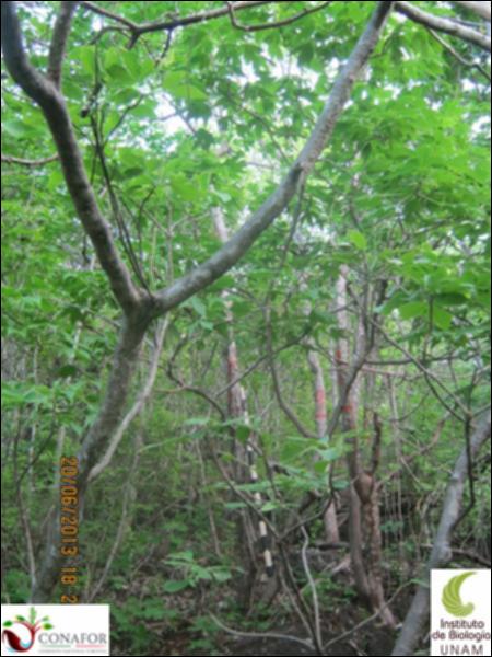 76294_S1_ARC_20130620_010_001.jpg.jpg