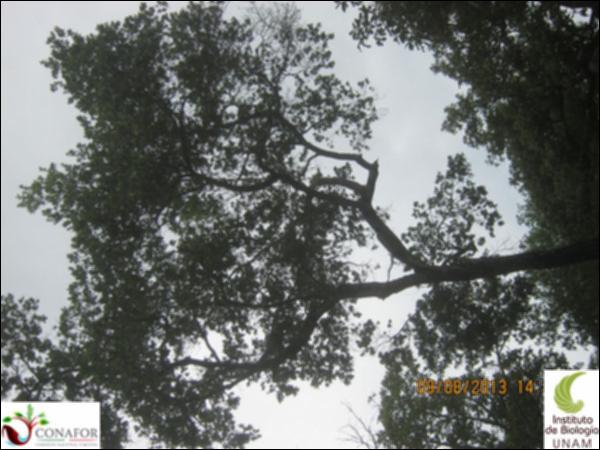 58458_S3_ARC_20130809_001.jpg.jpg