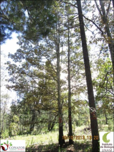 42043_S4_ARC_20131010_005.jpg.jpg