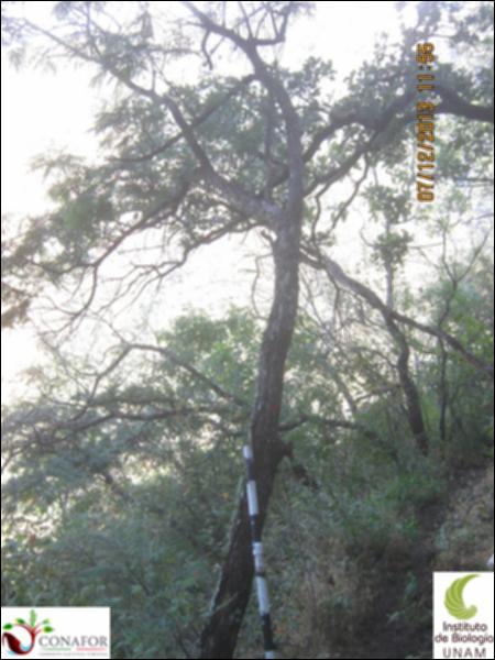 18256_S1_ARC_20131207_008.jpg.jpg