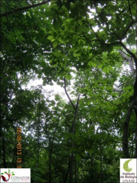 77577_S1_ARC_20130628_008_002.jpg.jpg