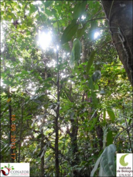 72321_S4_ARC_20130509_010_002.jpg.jpg