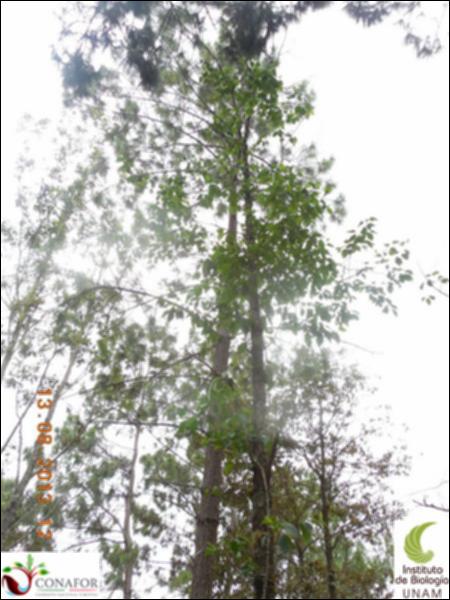 72664_S3_ARC_20130813_003_002.jpg.jpg