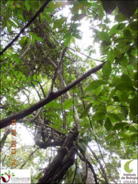 75718_S2_ARC_20130715_013_002.jpg.jpg