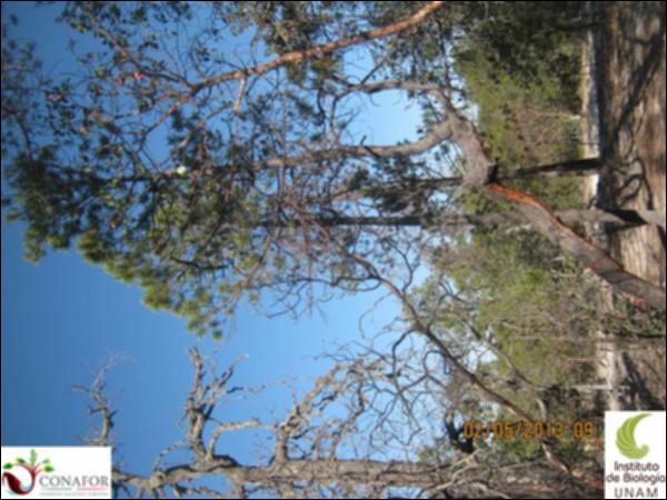 37361_S4_ARC_20130501_006.jpg.jpg