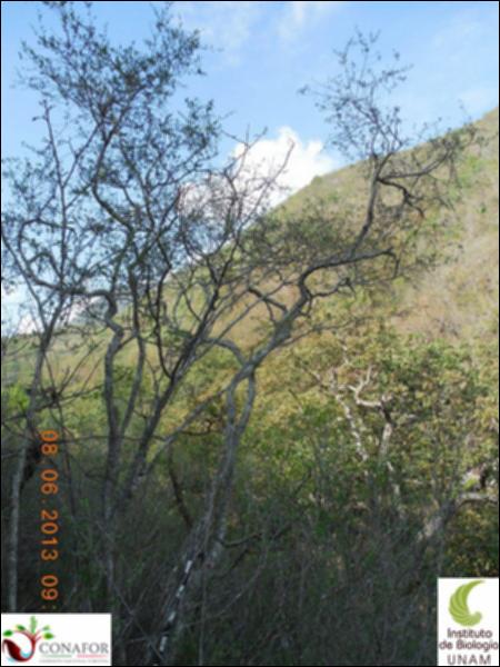 74368_S3_ARC_20130607_001_001.jpg.jpg