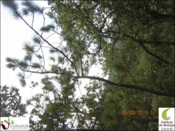 54983_S1_ARC_20130809_001.jpg.jpg