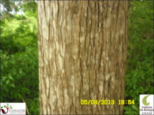 57697_S2_CRT_20130805_002.jpg.jpg