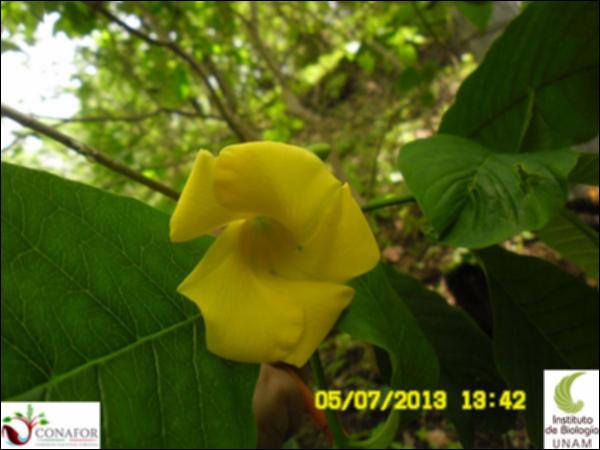 62572_S2_FLR_20130705_002.jpg.jpg