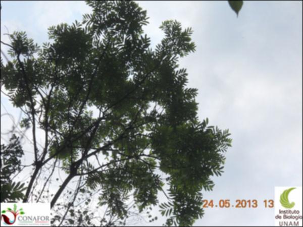 73788_S1_ARC_20130523_014_002.jpg.jpg