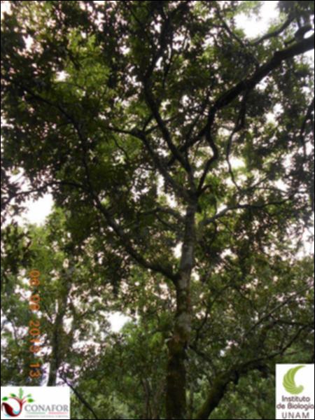 74323_S1_ARC_20130806_004_002.jpg.jpg