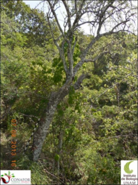 74555_S2_ARC_20130807_009_001.jpg.jpg