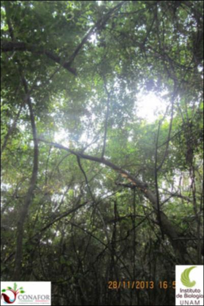 51608_S1_ARC_20131128_016_002.jpg.jpg