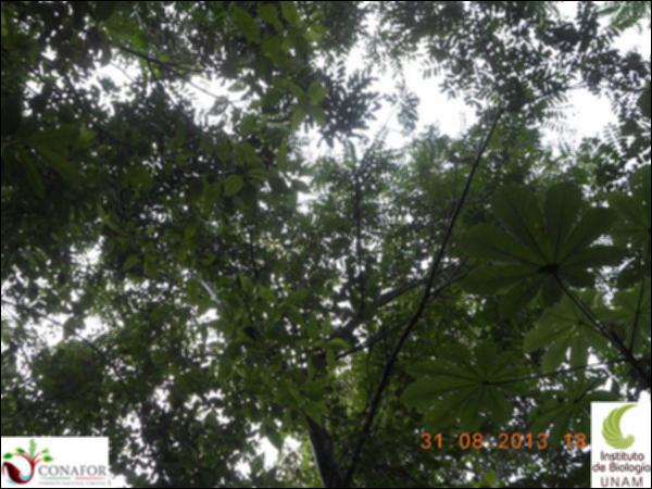 61691_S1_ARC_20130831_014_002.jpg.jpg