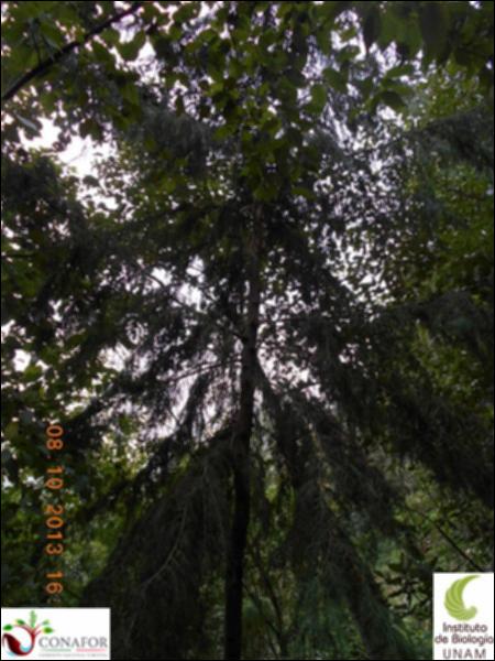 58618_S4_ARC_20131008_006_002.jpg.jpg