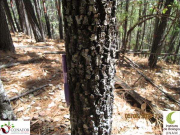 40868_S4_CRT_20130604_115.jpg.jpg