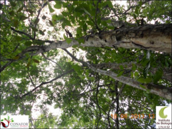 50962_S1_ARC_20130618_017_001.jpg.jpg