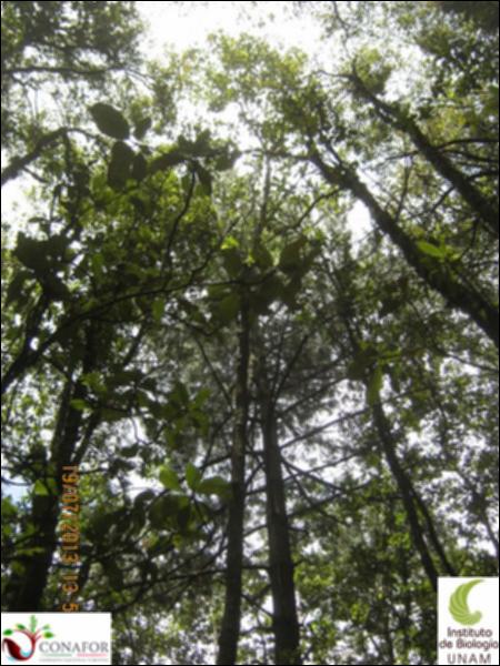 74753_S1_ARC_20130718_009_002.jpg.jpg