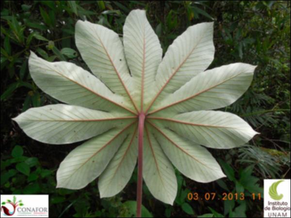 77168_EX_HJ2_20130702_998_001.jpg.jpg