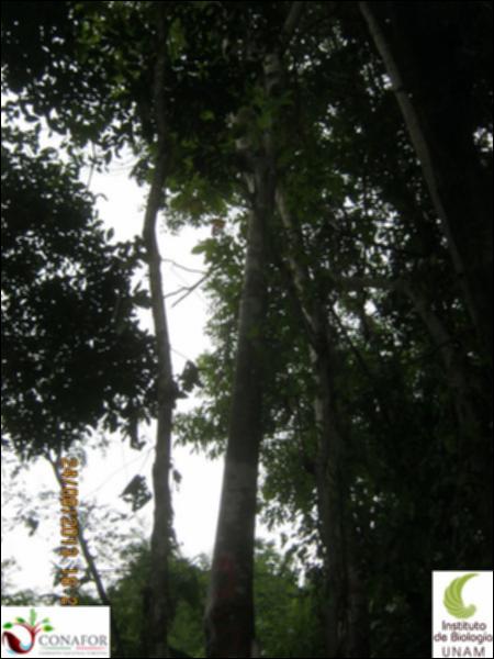 75119_S2_ARC_20130824_013_002.jpg.jpg