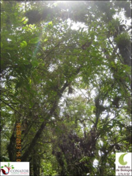 73133_S2_ARC_20130617_030_002.jpg.jpg