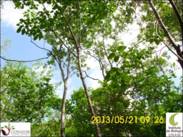 52341_S4_ARC_20130521_005_002.jpg.jpg