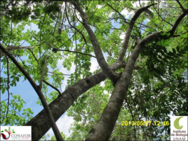 62234_S2_ARC_20130507_006_001.jpg.jpg