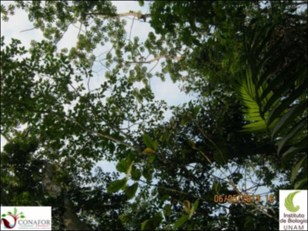 69391_S1_ARC_20130505_016_002.jpg.jpg