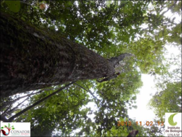 51460_S4_ARC_20131102_012_001.jpg.jpg