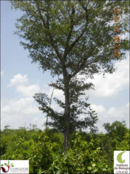 65661_S1_ARC_20130624_001_001.jpg.jpg