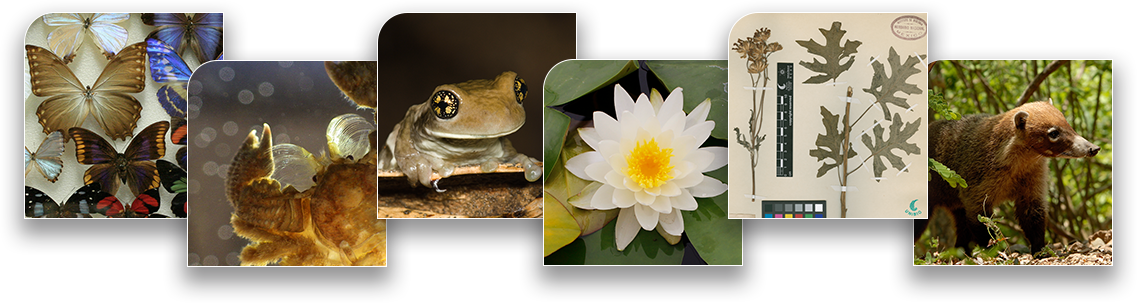 Instituto de Biología